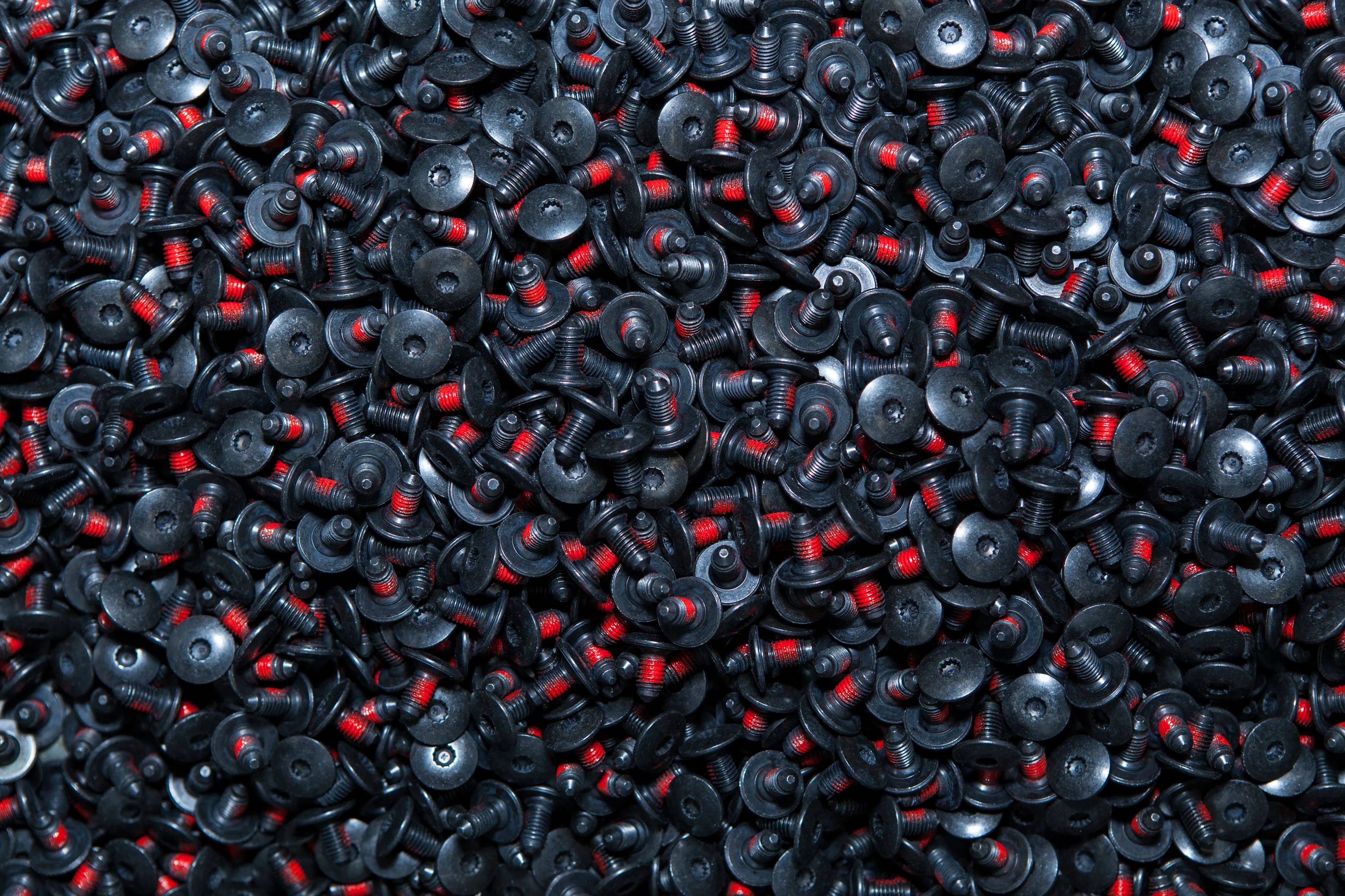 HAKA_HiRes-16 - copy (1).jpg HAKA_HiRes-16 - copy (1).jpg